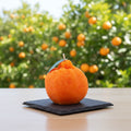 Pepper & White orange-shaped candle on a black slate coaster with a blurred citrus orchard background.