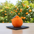 Pepper & White orange-shaped candle on a black slate coaster with a blurred citrus orchard background.